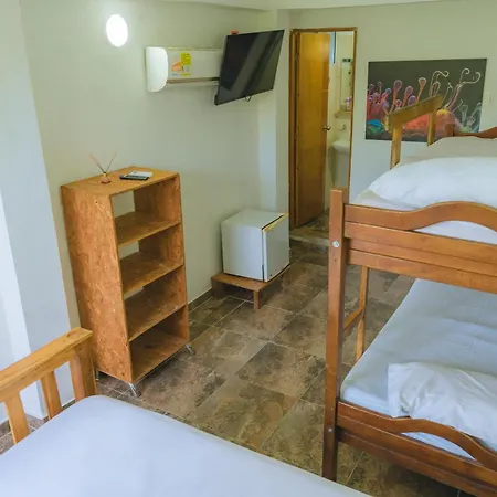Perla Negra House